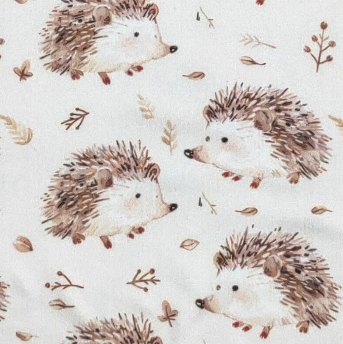 Clothing for Baby Boy - Hedgehog Boy Romper