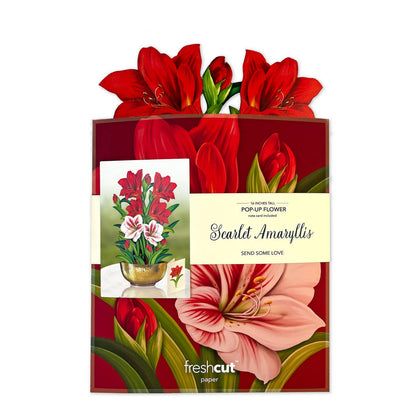 Scarlet Amaryllis - Pop-up Bouquet Card