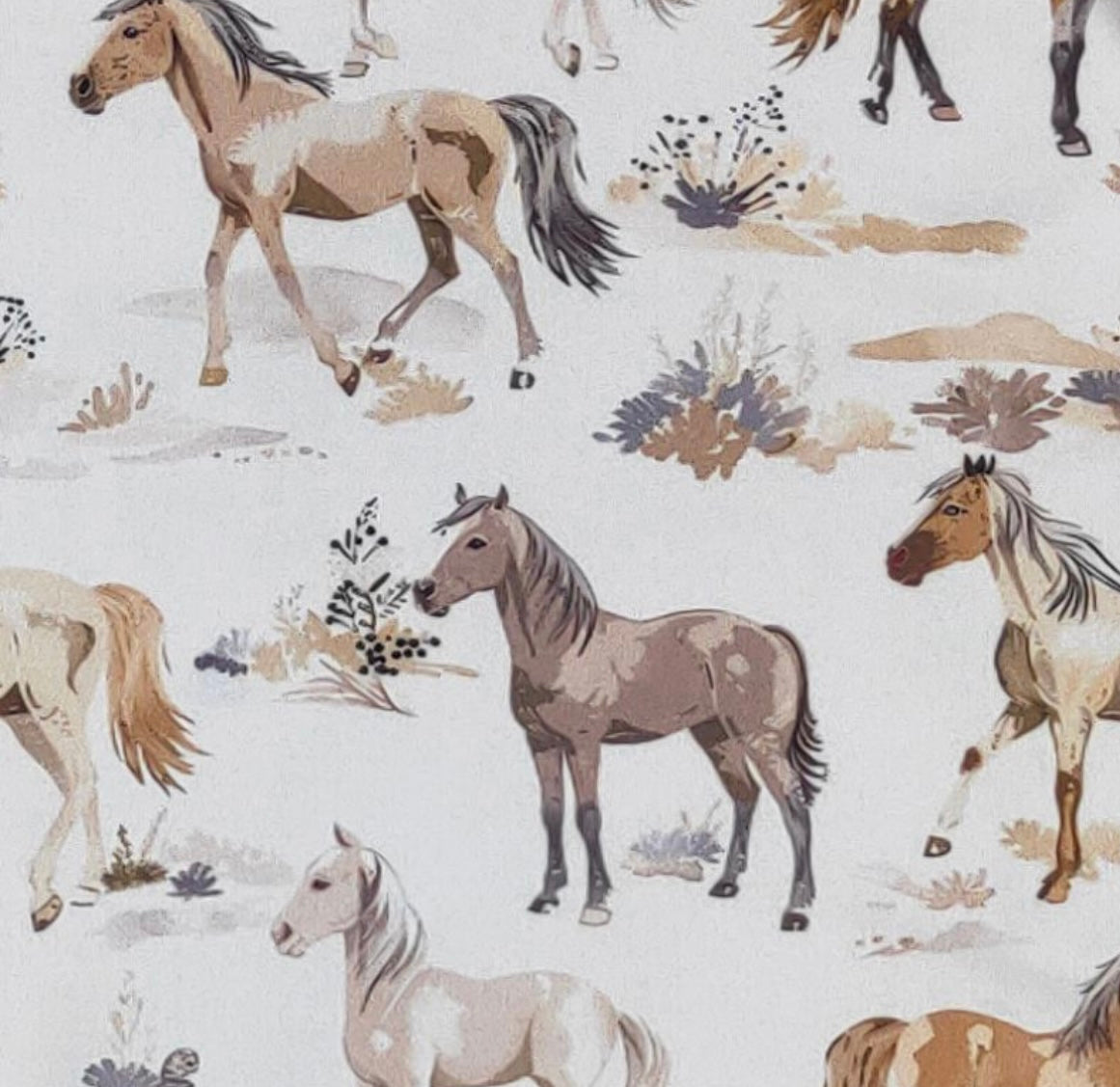 Clothing for Baby Boy - Mustang Boy Romper