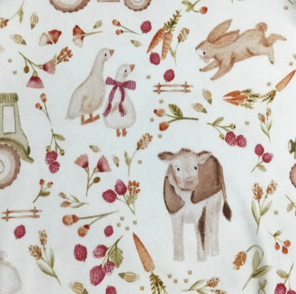 Clothing for Baby Girl - Raspberry Farm Girls Dress