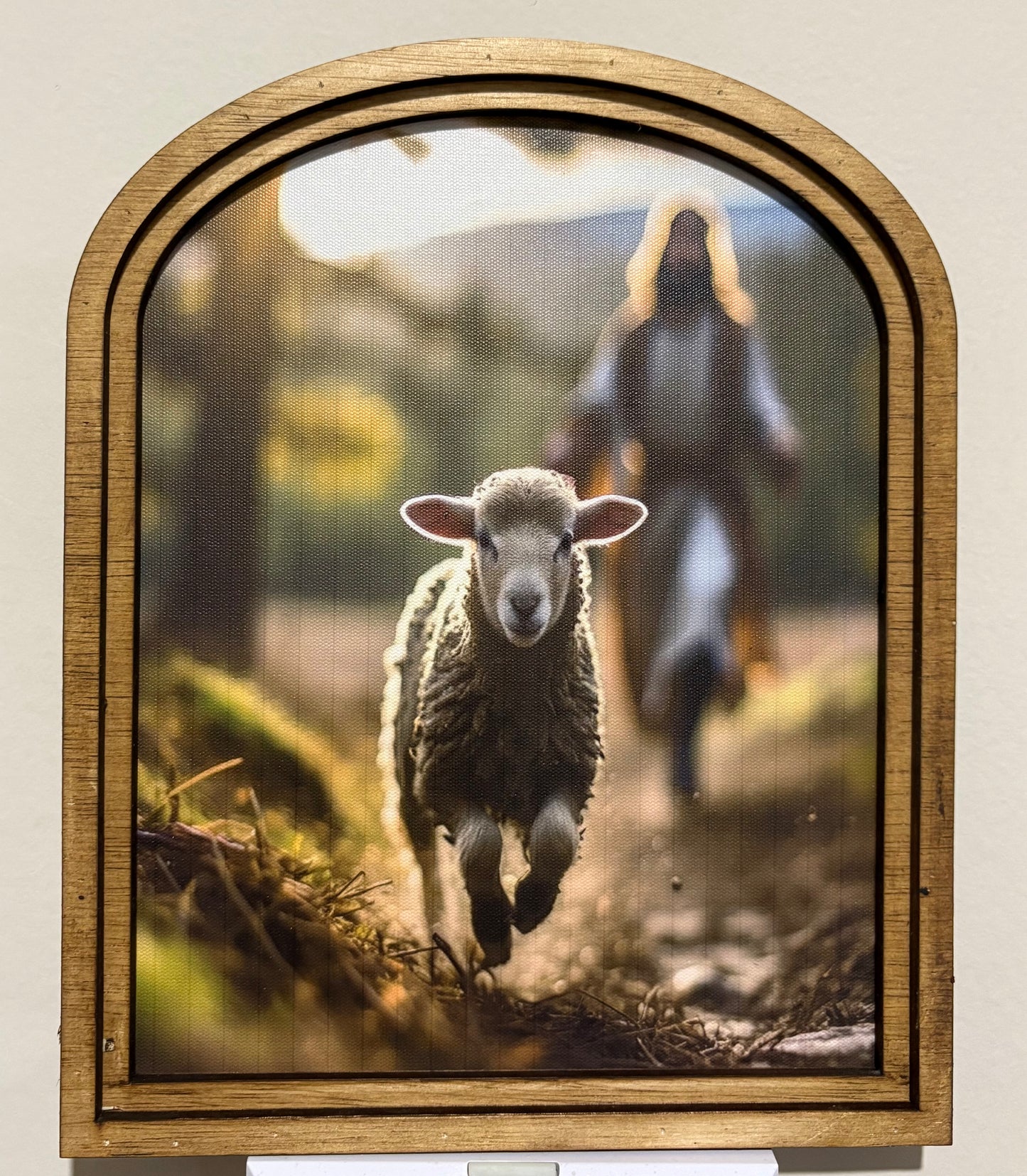 LOC - Good Shepherd Chasing Lost Sheep 10" x 8"&nbsp; Canvas Print in Arched Frame