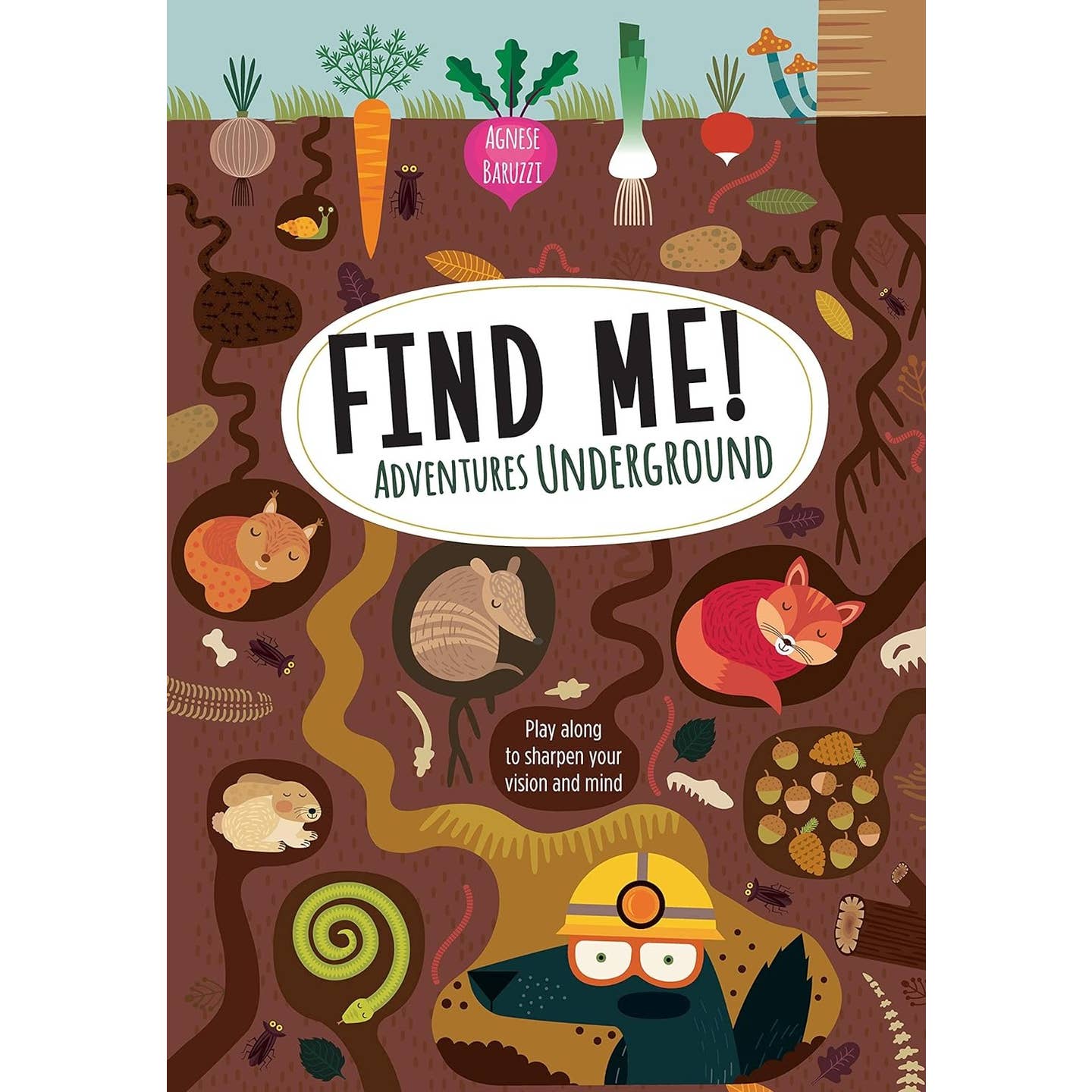 Find Me! Adventures Underground - Hidden Picture Activities