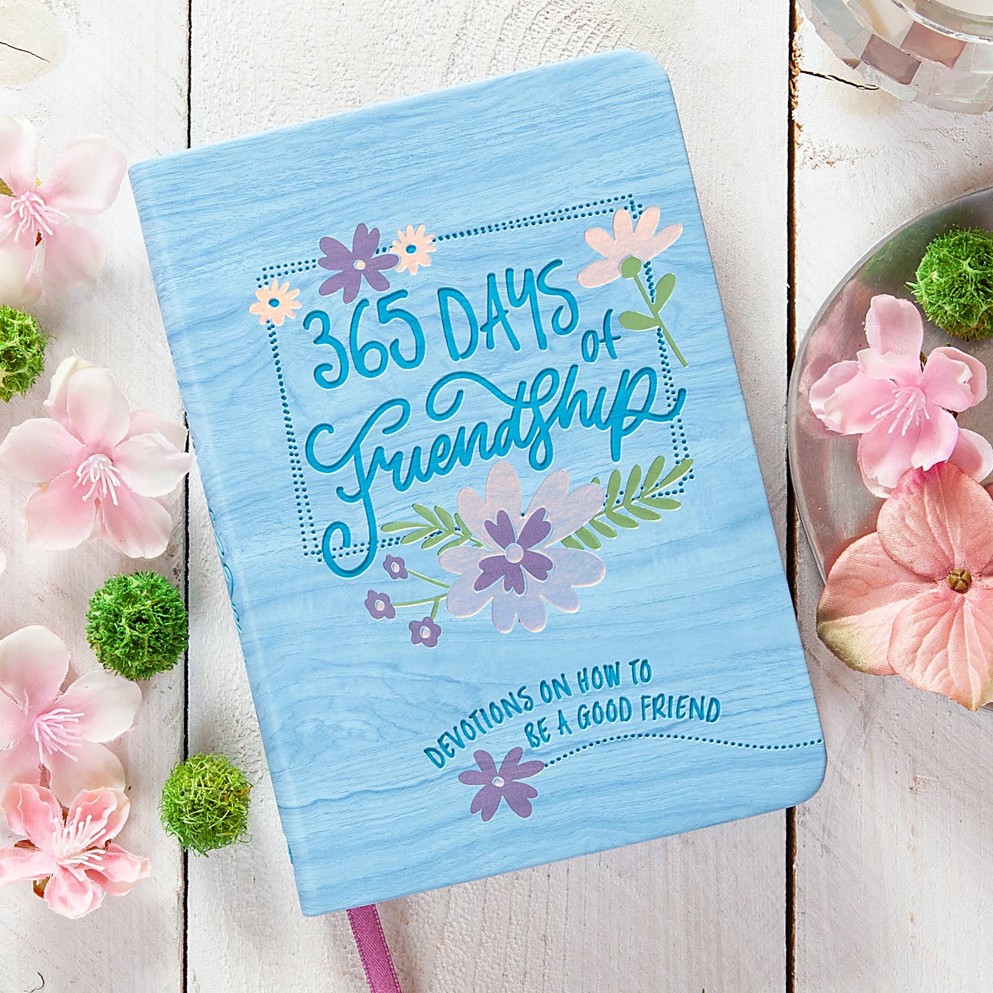 365 Days of Friendship (Devotional)