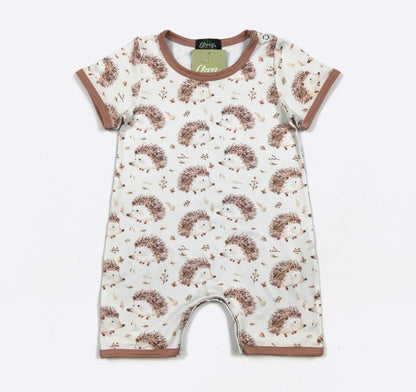 Clothing for Baby Boy - Hedgehog Boy Romper