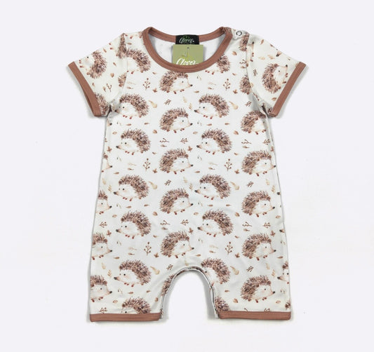 Clothing for Baby Boy - Hedgehog Boy Romper