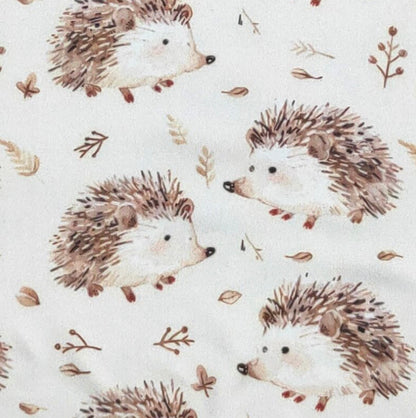 Clothing for Baby Boy - Hedgehog Boy Romper