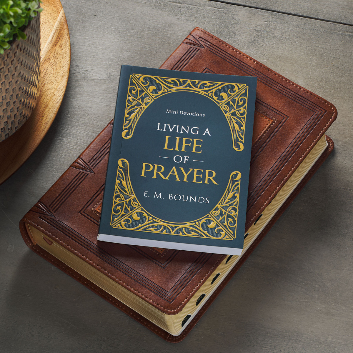 Living A Life of Prayer Mini Devotional