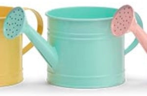 BB - Spring Watering Can Planters available in 5 colors