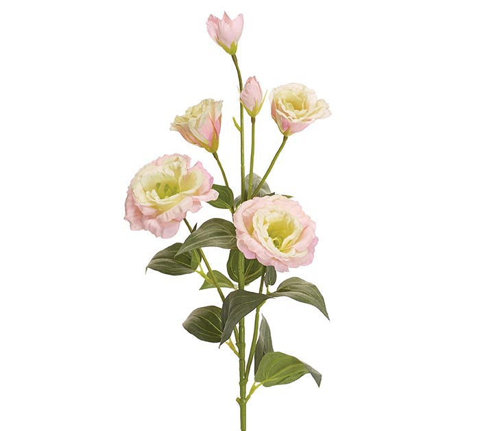 BB - Pink and White Rose Stem