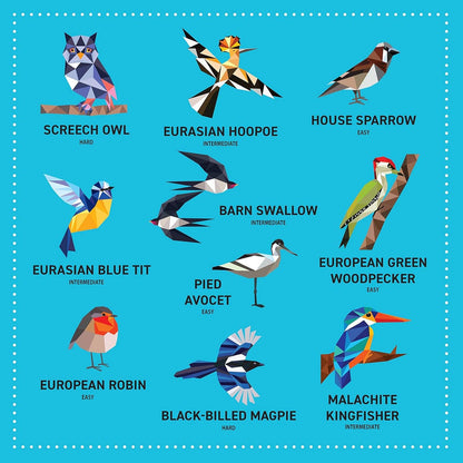 My Sticker Paintings: Birds - Children's Activity Book