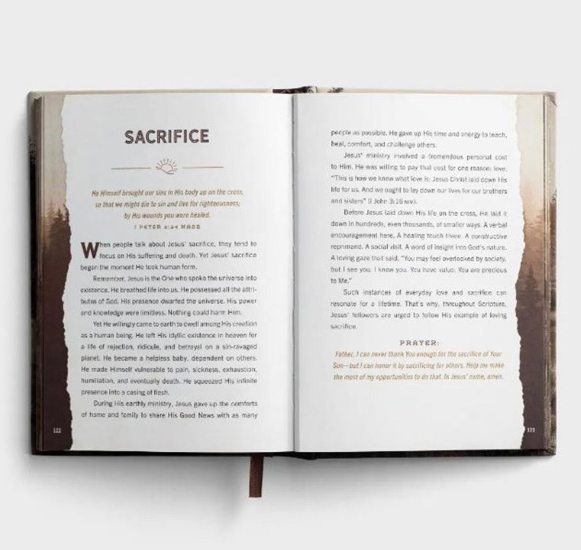 Designed for Greatness: Devotions for Men
