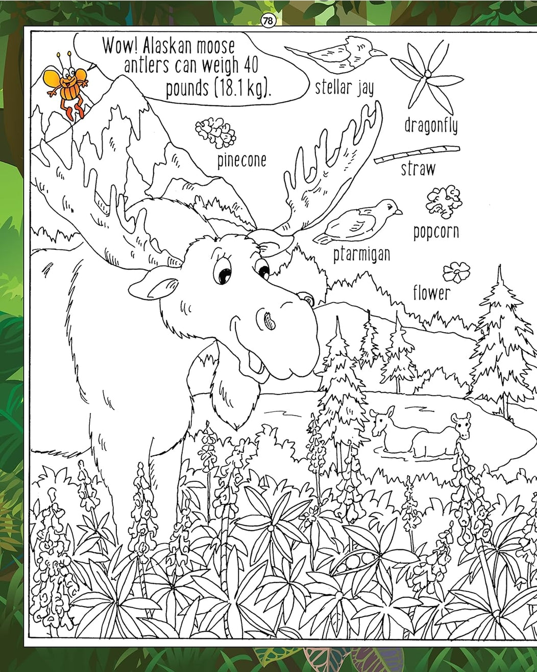 Hidden Picture Puzzles In The Forest Seek Find Puzzles Make It hidden-picture-puzzles-in-the-forest-seek-find-puzzles-make-it