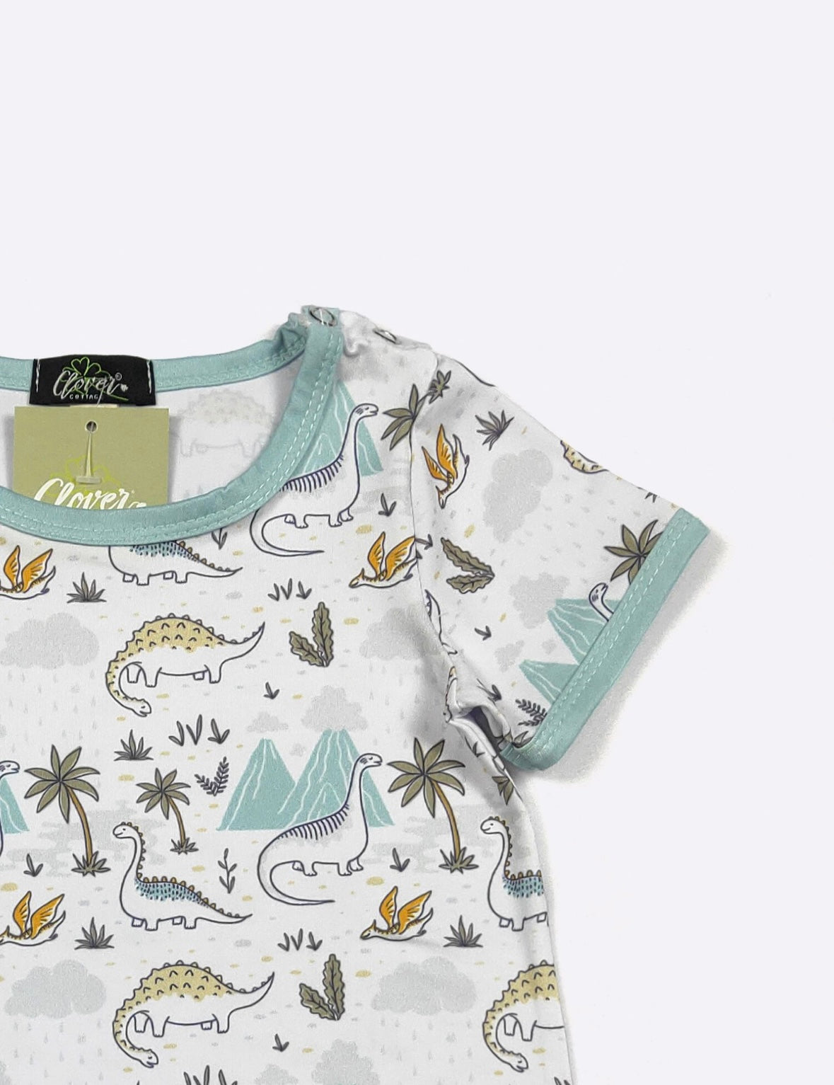 Clothing for Baby Boy - Brachiosaurus Boy Romper