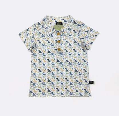 Clothing for Toddler Boy - Dino Smiles Boy Collar Shirt
