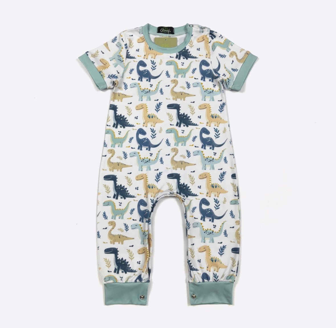 Clothing for Baby Boy - Dino Smiles Boy Romper