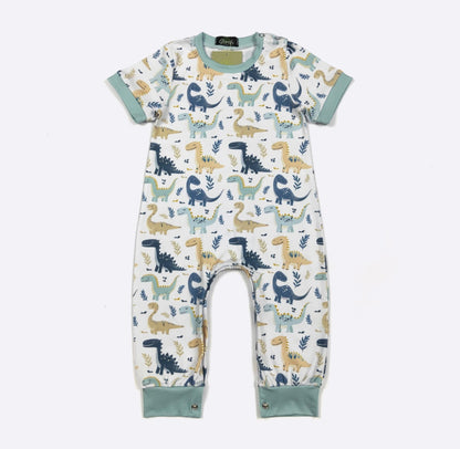 Clothing for Baby Boy - Dino Smiles Boy Romper