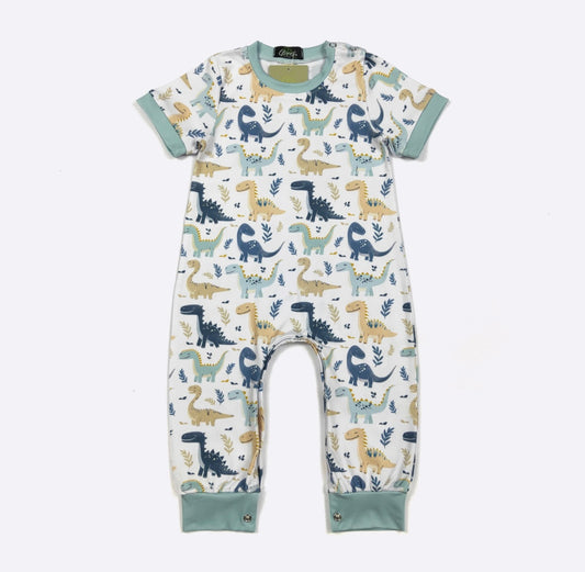 Clothing for Baby Boy - Dino Smiles Boy Romper