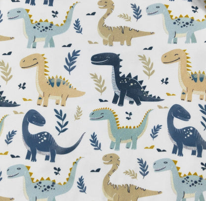 Clothing for Baby Boy - Dino Smiles Boy Romper
