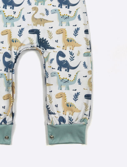Clothing for Baby Boy - Dino Smiles Boy Romper