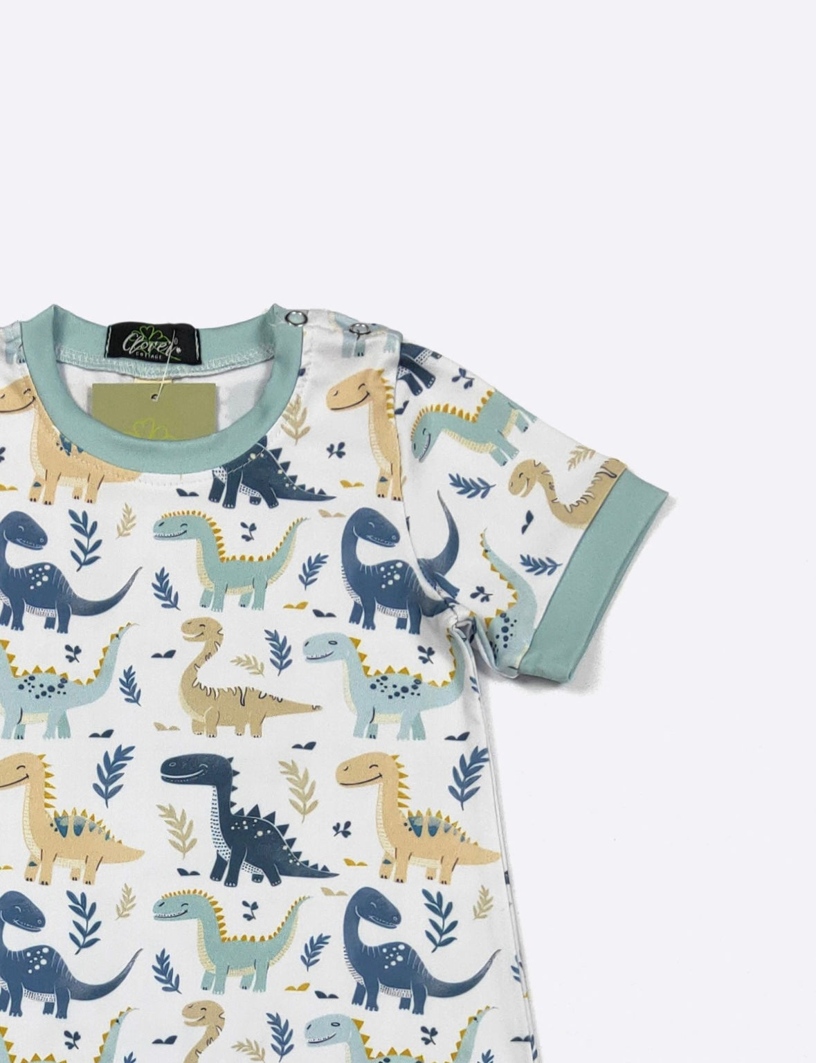 Clothing for Baby Boy - Dino Smiles Boy Romper