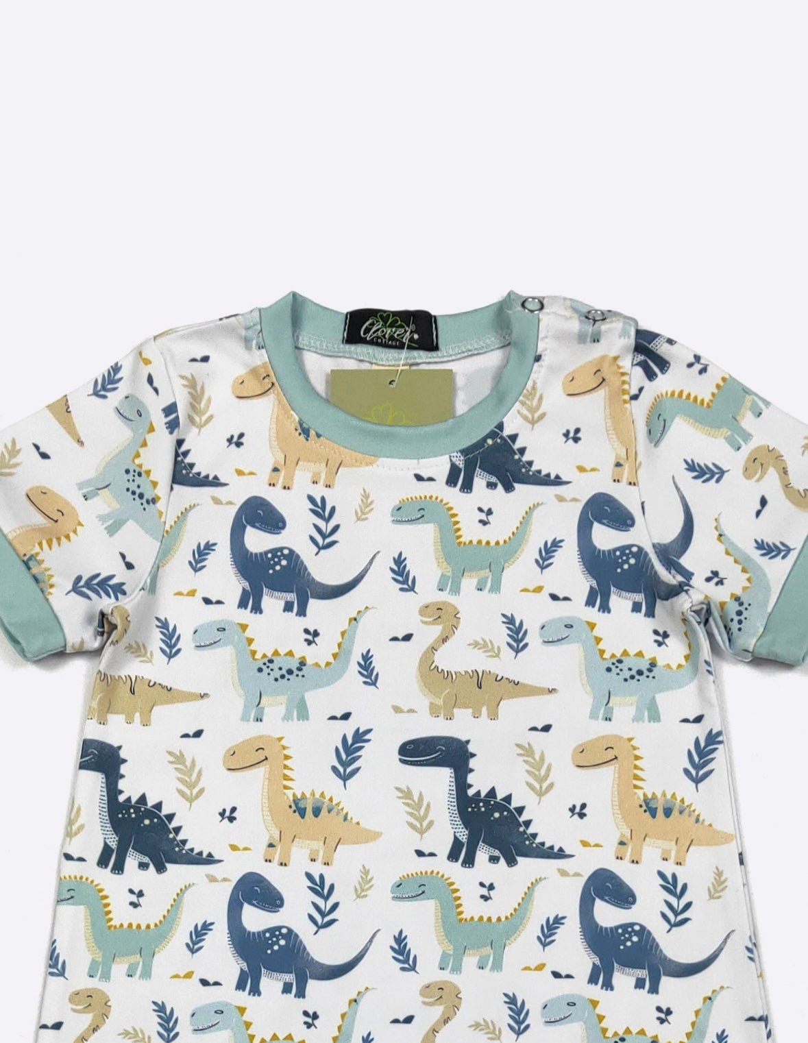 Clothing for Baby Boy - Dino Smiles Boy Romper