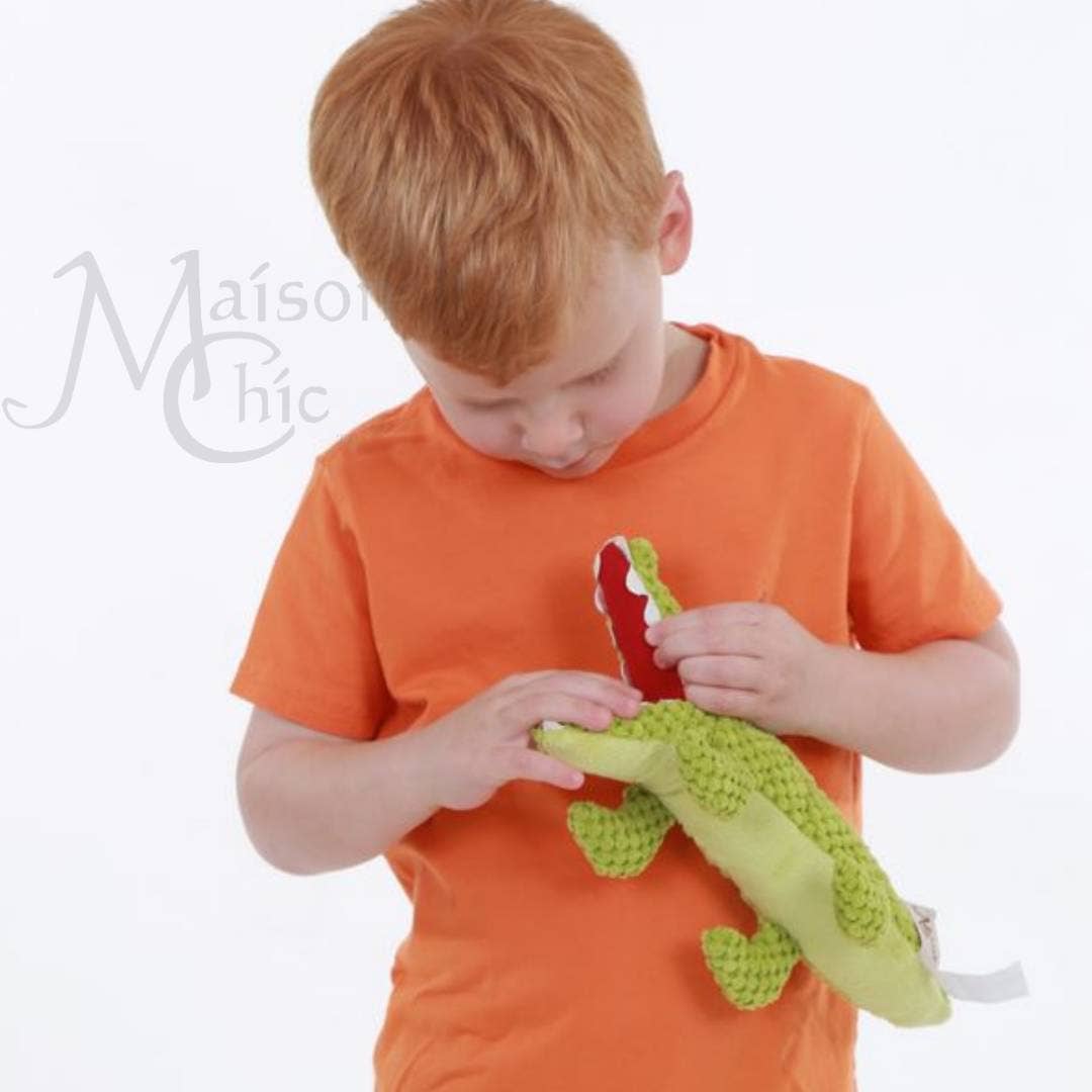 Alex the Alligator Tooth Fairy