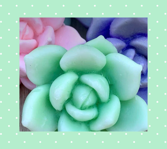 3D Succulent Soaps